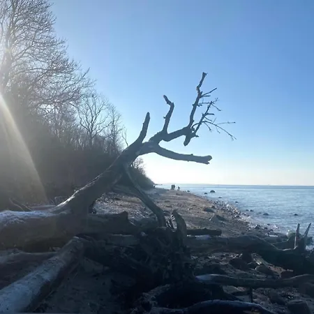 Horst_ Gruen. 公寓 Kalkhorst