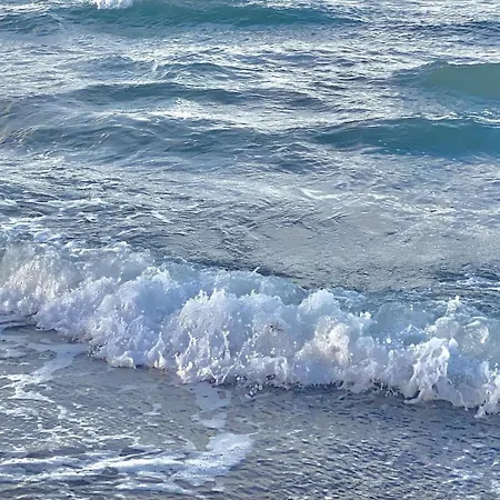 Horst_ Gruen. * Kalkhorst