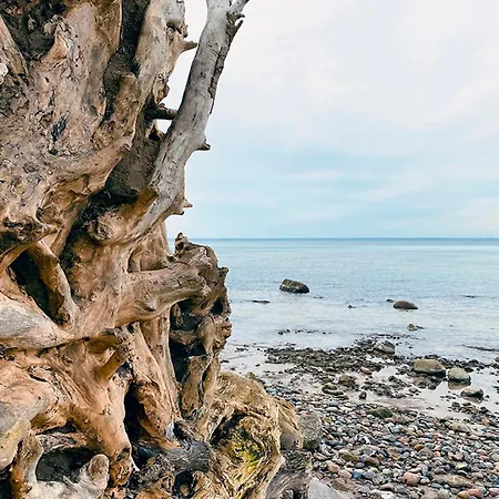 Horst_ Gruen. 公寓