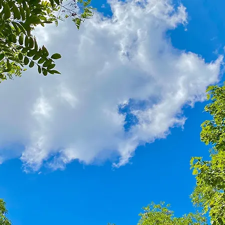 公寓 Horst_ Gruen.