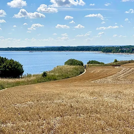 公寓 Horst_ Gruen. *