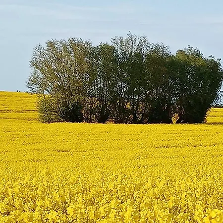 Horst_ Gruen. 公寓