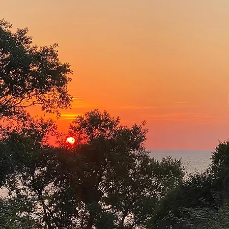 公寓 Horst_ Gruen.